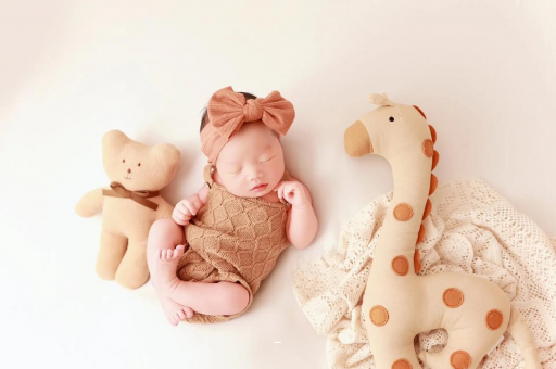 西宁宝宝虾的做法